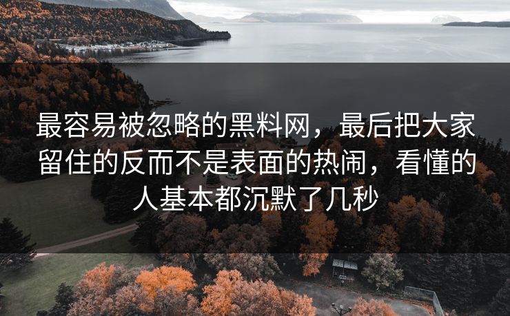 最容易被忽略的黑料网，最后把大家留住的反而不是表面的热闹，看懂的人基本都沉默了几秒